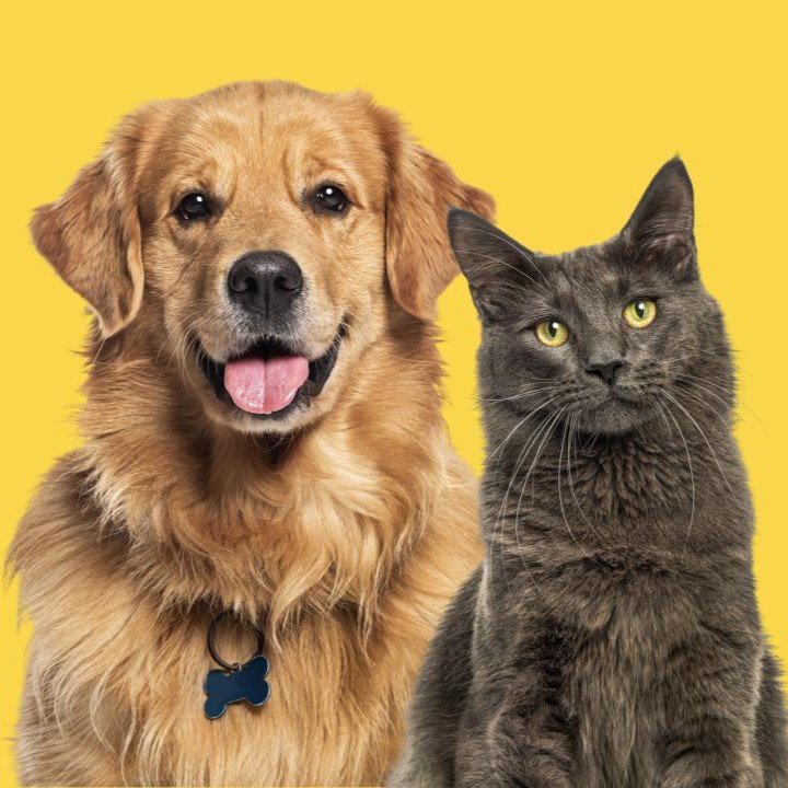 ALIMENTO PARA PERRO Y GATO